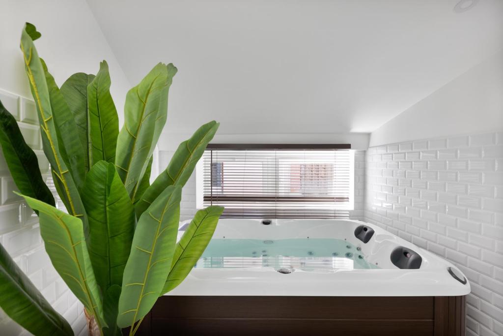 Le Cosy Spa & Office au cœur de Toulouse - 1