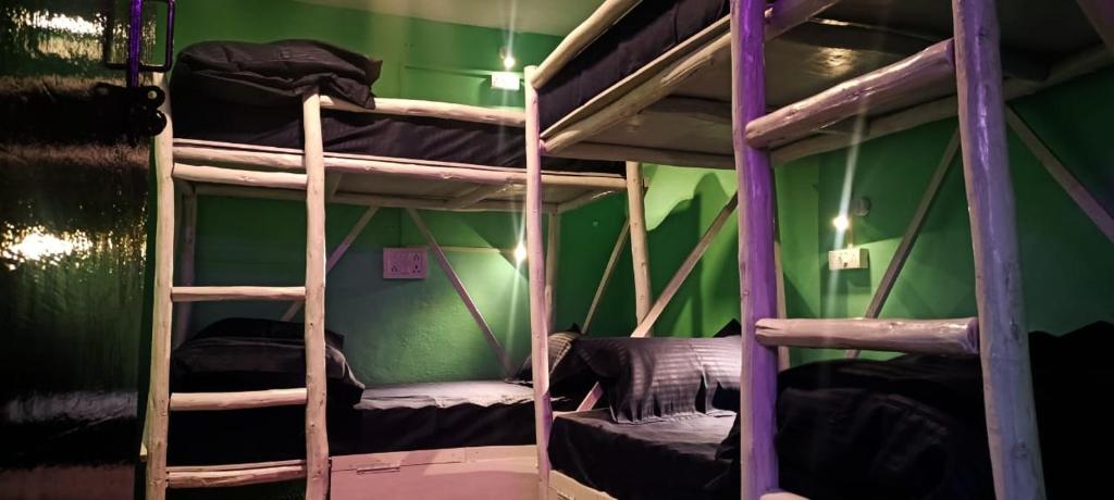 Trippy Shiva Hostel photo