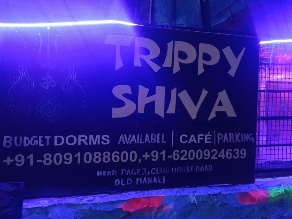 Trippy Shiva Hostel photo