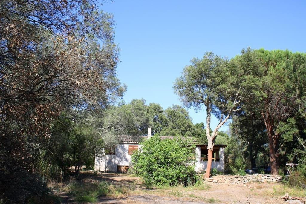 QUIET COTTAGE NEAR CITY CENTER - 1