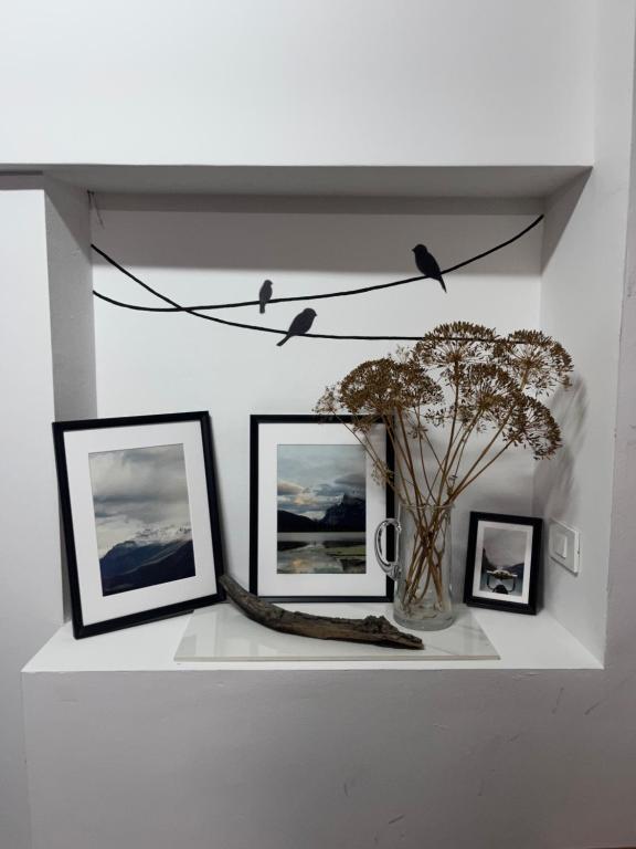 Eagle’s Nest Hostel photo
