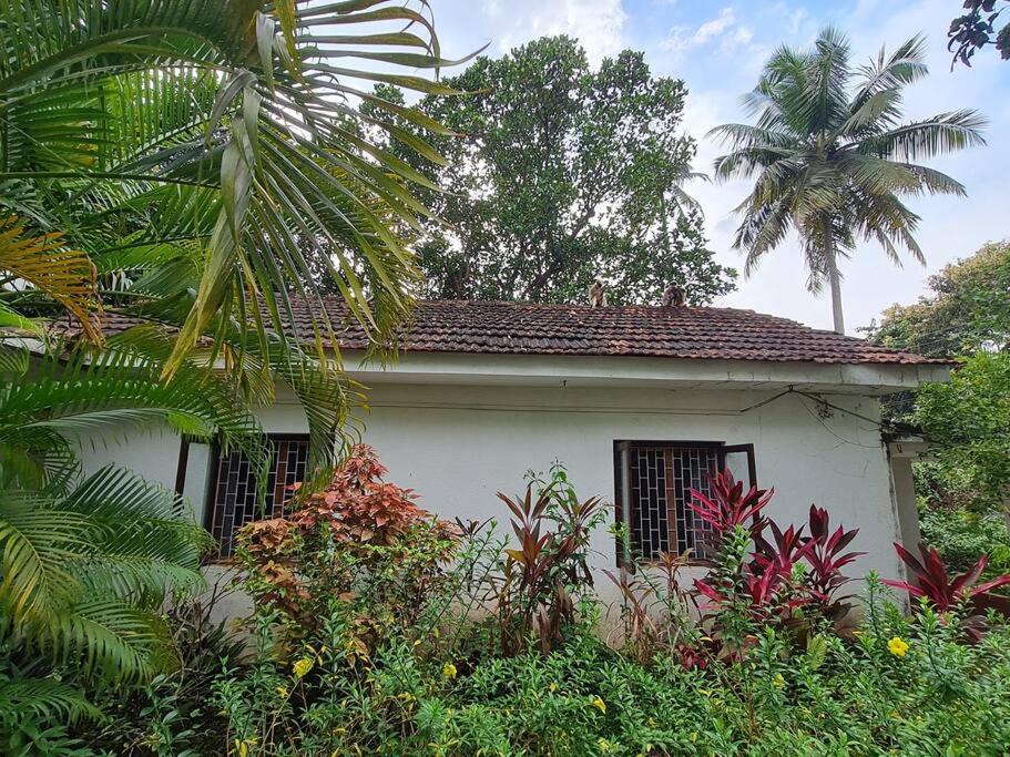Charming Portugese Garden Cottage Bungalow.