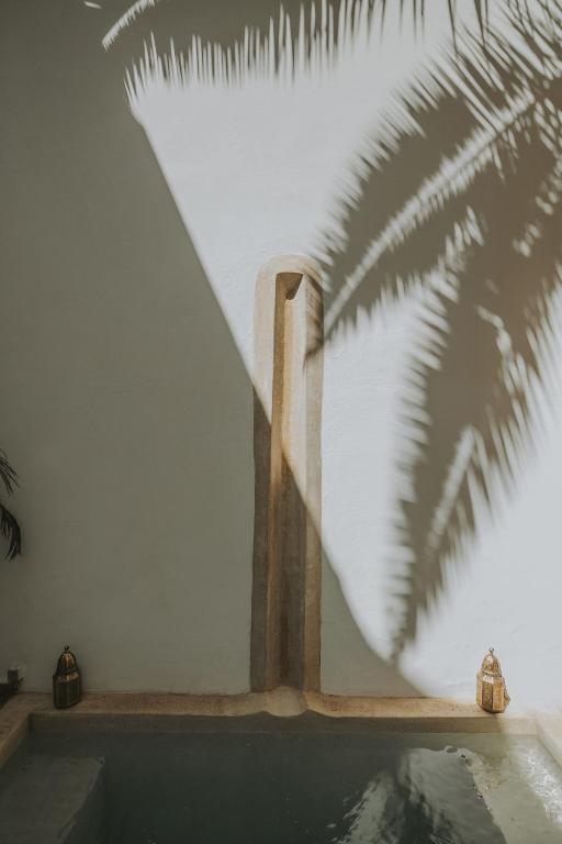 Dar Zelda photo