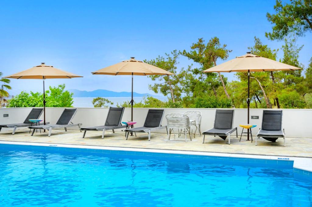 スイミングプール