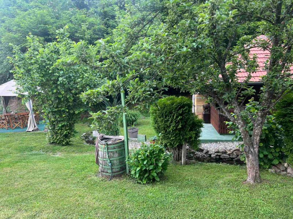 Guest House Etno selo Trbovic photo