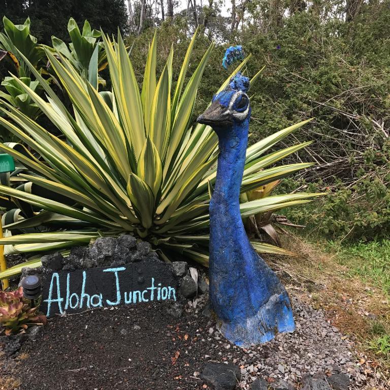 Aloha Junction Guest House - 5 min from Hawaii Volcanoes National Park photo