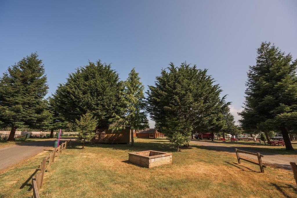 Redwood Coast Cabins and RV Resort photo