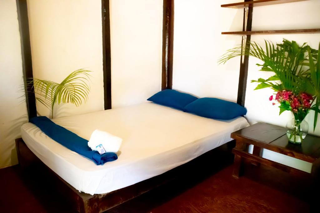 Hostal Shalom photo