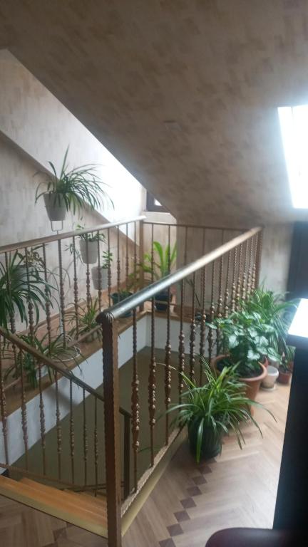 Apartment House Mtatsminda photo