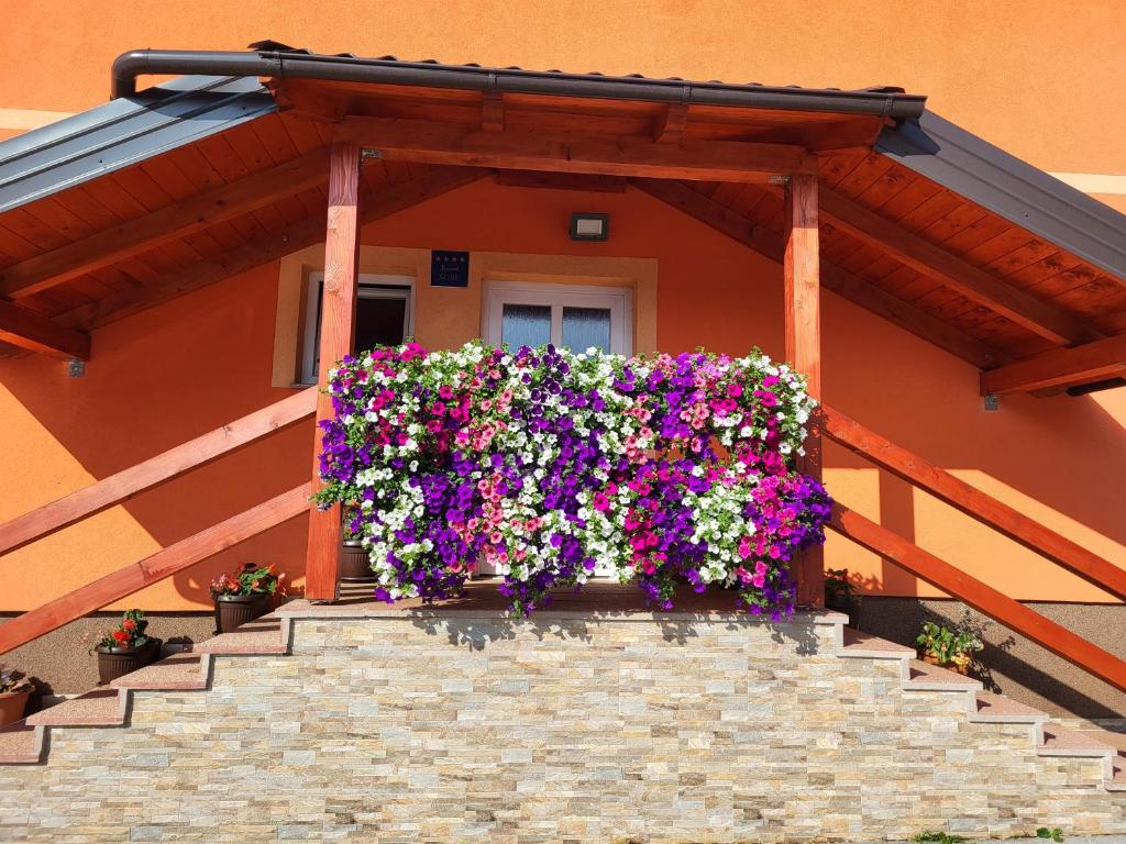Rooms Sapina photo