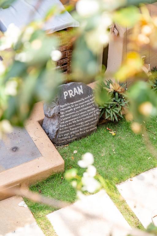 アクティビティ