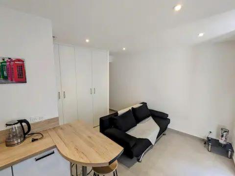 Studio rénové coeur piéton - 2