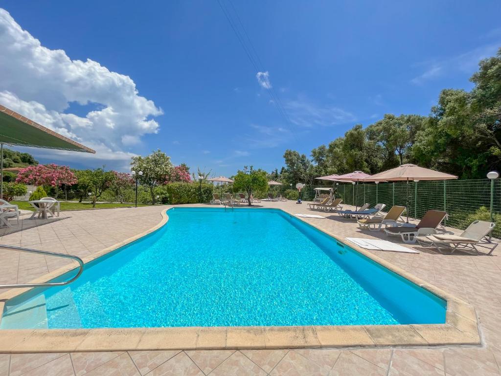 Amazona Apartments and Studios photo