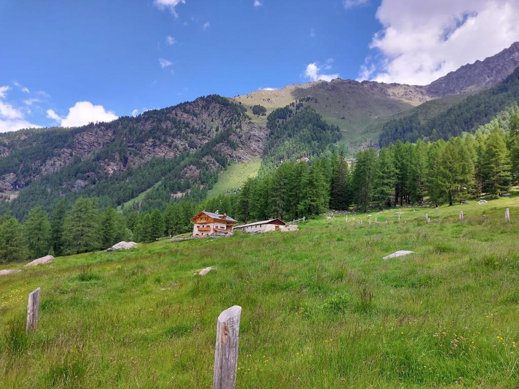 Agriturismo Malga Pontevecchio - 2