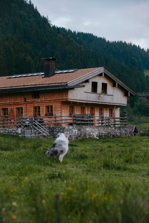 Hasenalm - 2