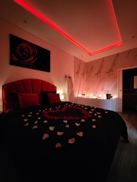Suite romantique spa/sauna en Avignon - 5