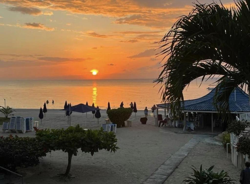 Seacret Studios - Cozy Jamaican Retreat apts, Negril