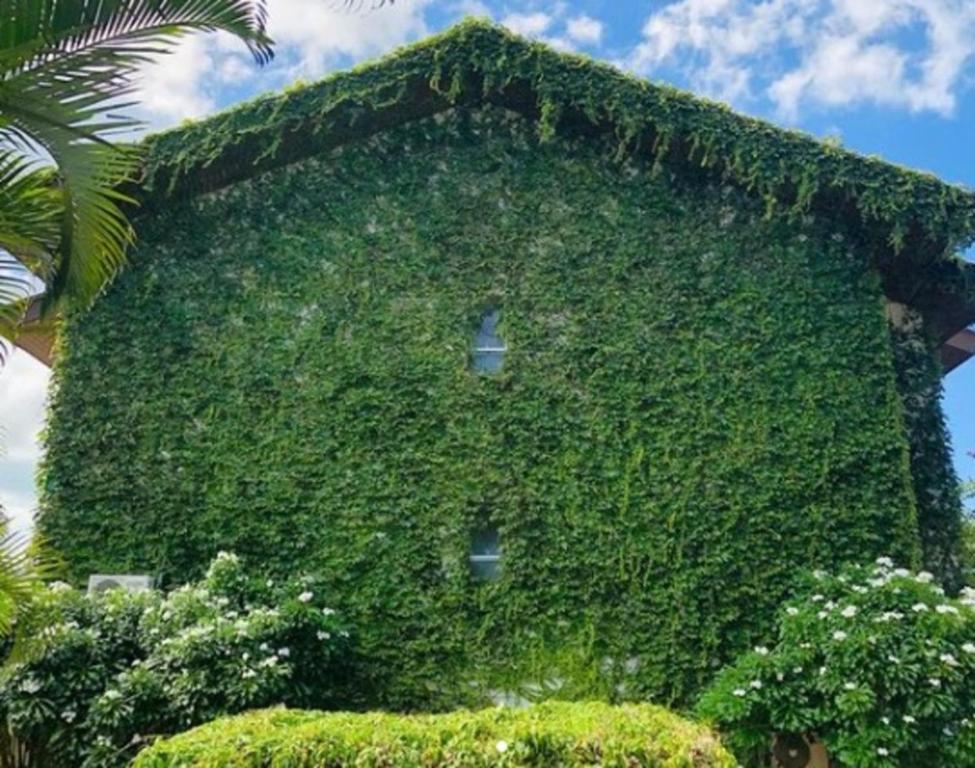 Surrounding environment