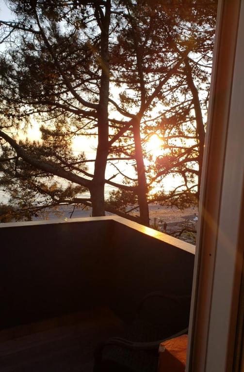 MIDIA Guest House photo