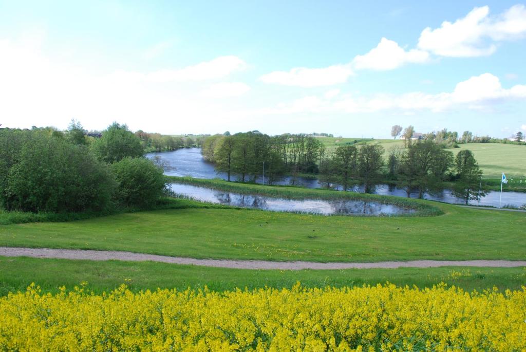 Surrounding environment