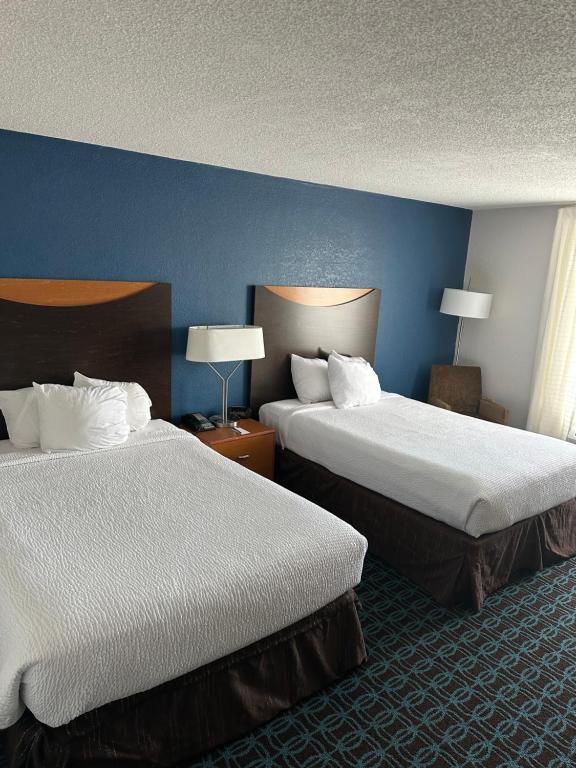 Comfort Inn & Suites photo