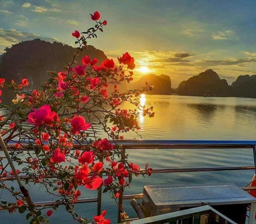 Nhật Anh Hotel Cát Bà