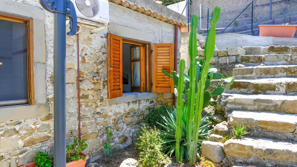 La Casa dei due Ulivi - 3