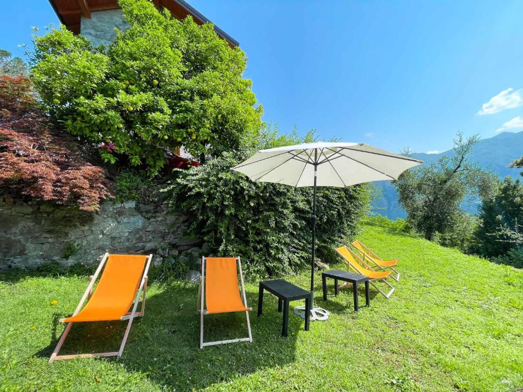 Breva, Loft tra gli ulivi ed il lago - 5