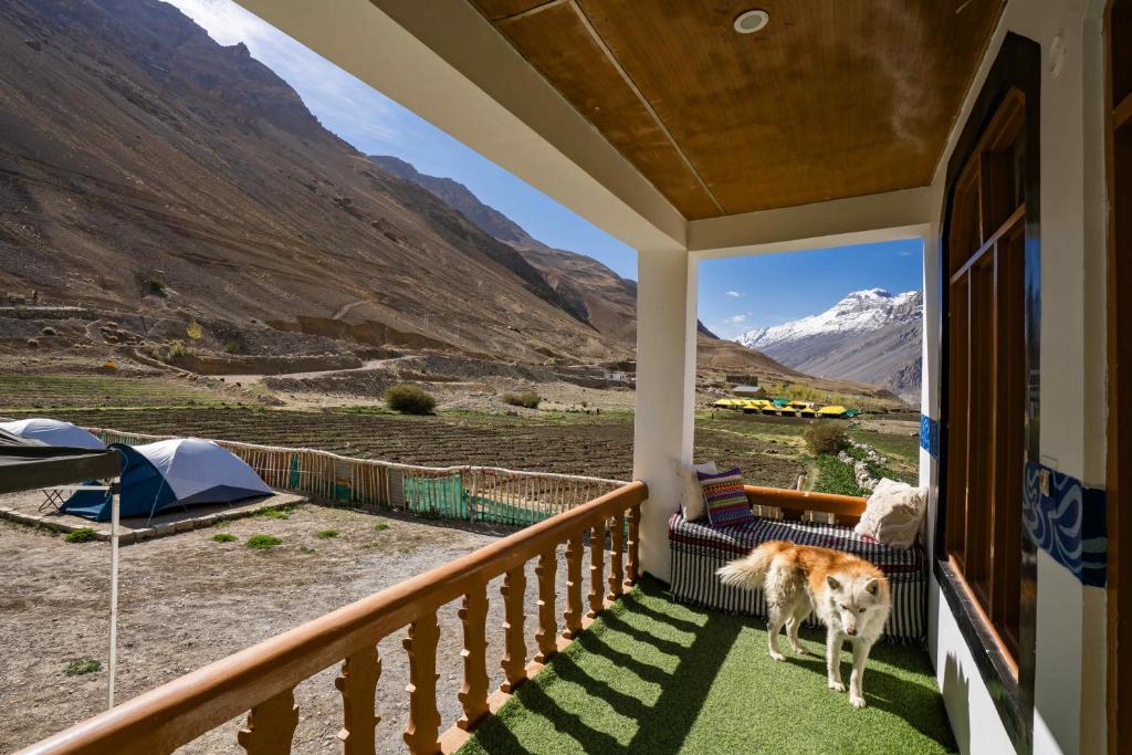 Zostel Spiti photo