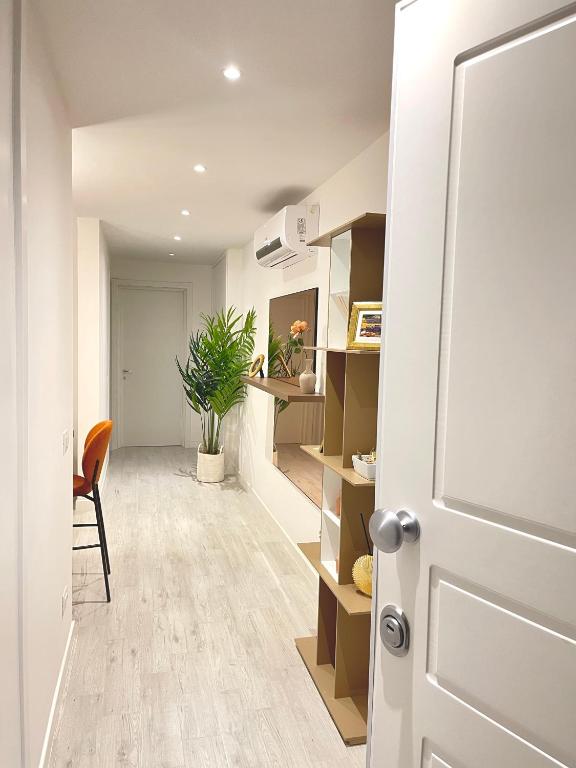 Casa Cavour Brown - 5