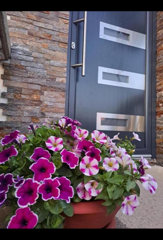 House For Rest Happy House - 5