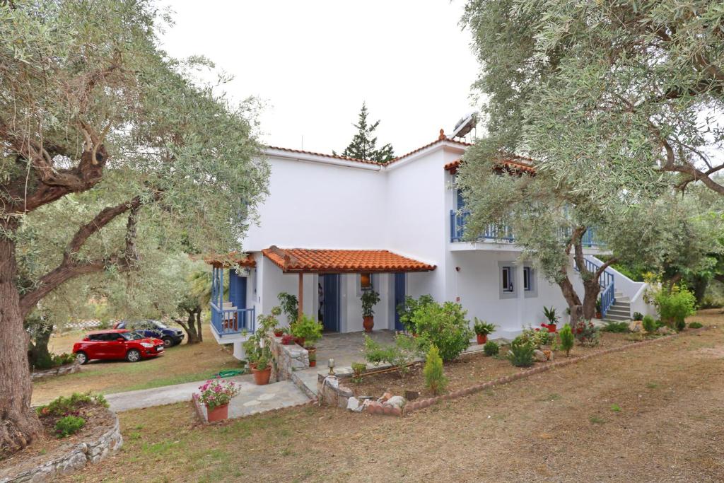 Skopelos Panos Studios photo