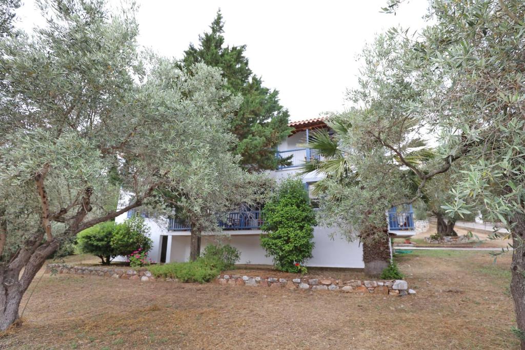 Skopelos Panos Studios photo