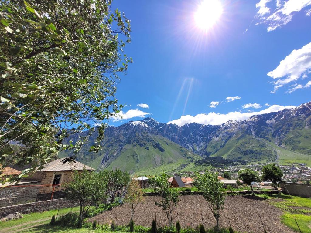 Pine Chalet Kazbegi photo
