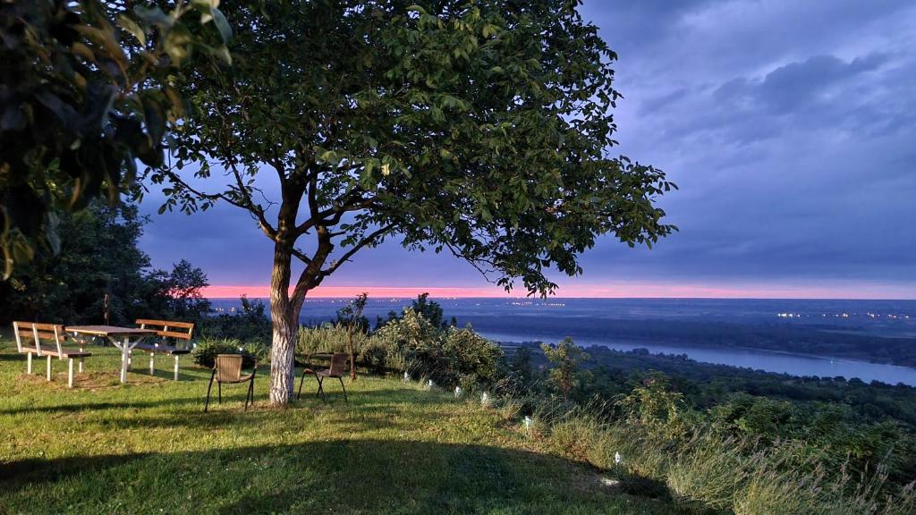 Casa Horizont, Slankamenački Vinogradi