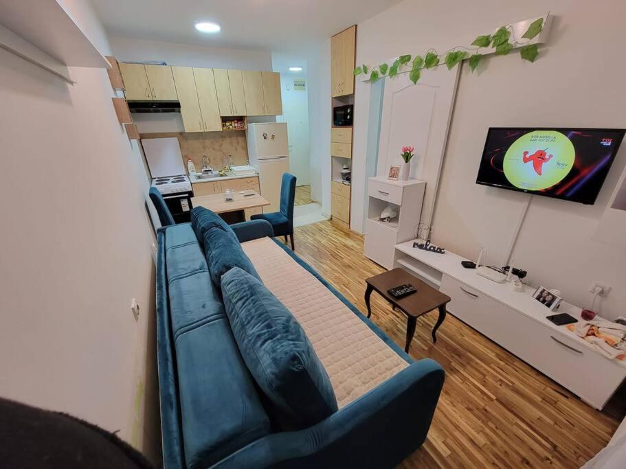 Downtown apartment in Novi Sad - 2