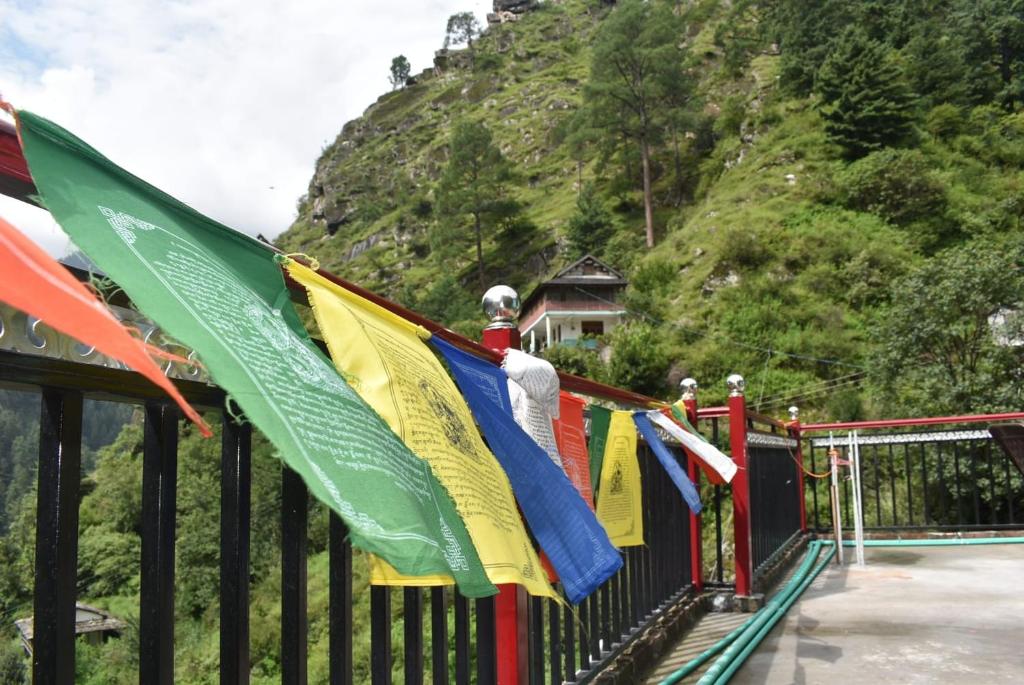 Pahadi Rovers Cafe & Homestay photo