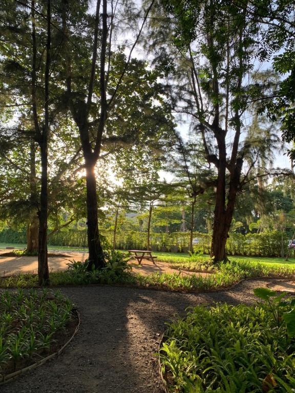 ทัศนียภาพ