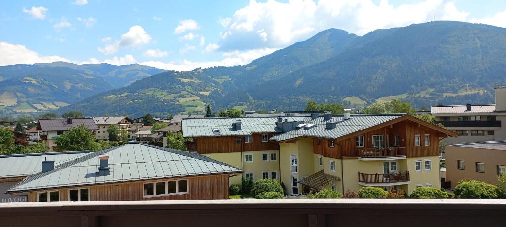 Alm Appartements ZellamSee photo