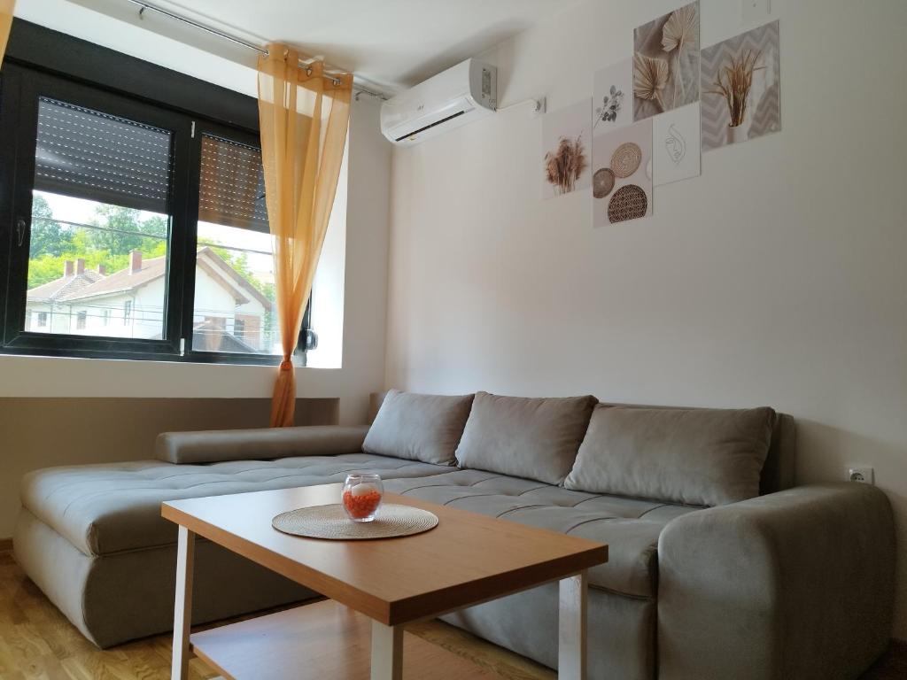 Apartman Andjelika Vrnjacka Banja - 4