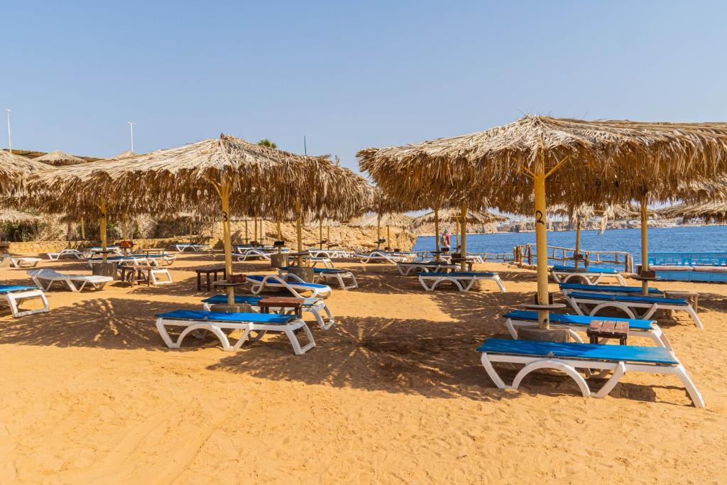 Sharm Reef Resort photo