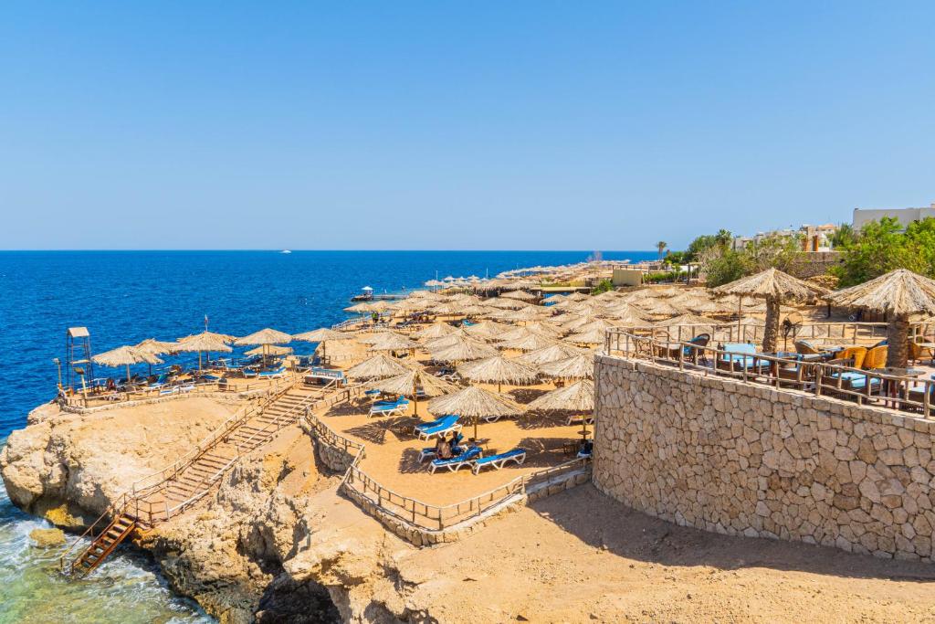 Sharm Reef Resort photo