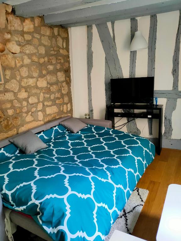 Studio charme Haut-Marais - 2