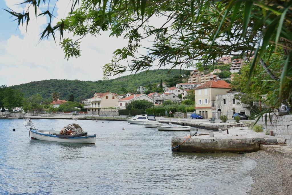 Studio Apartments Summer Time, Kamenari