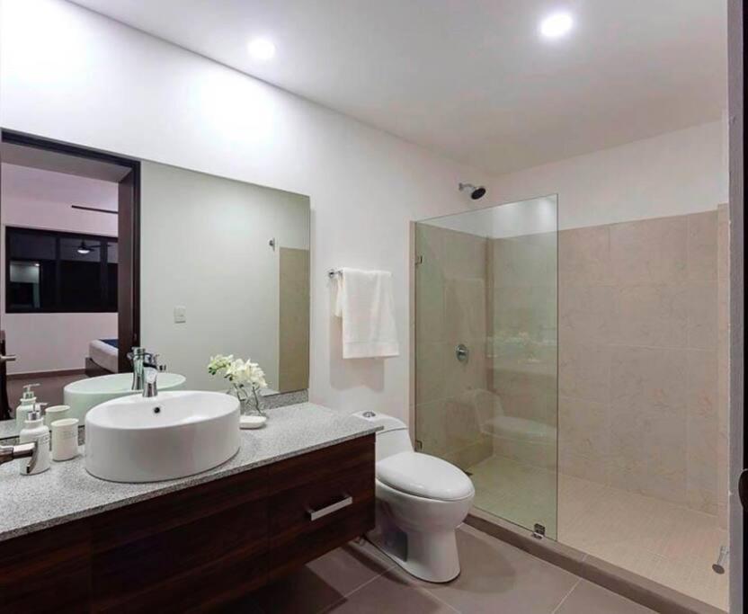 Zona Comercial Nuevo Vallarta - 3