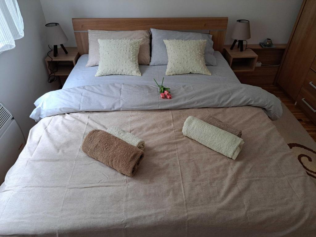 D&M Porodični apartman - 4