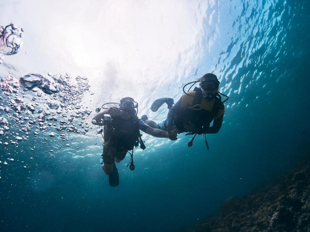 Sport og aktiviteter