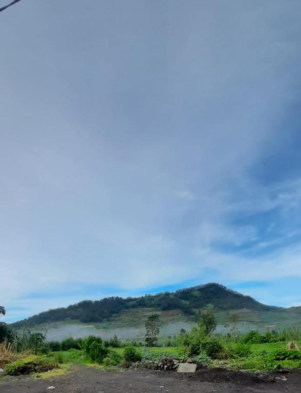 Homestay Cemeti Dieng photo