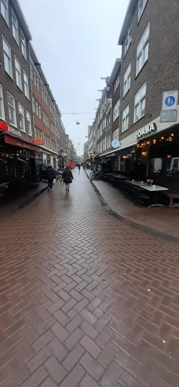 CHARLOTTE, not for parties, not a hotel, room with shared bathroom, no kitchen, Amsterdam