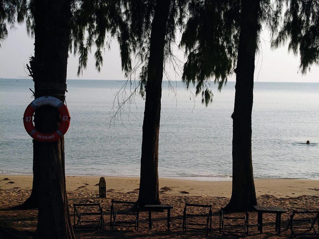 View